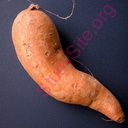 yam (Oops! image not found)
